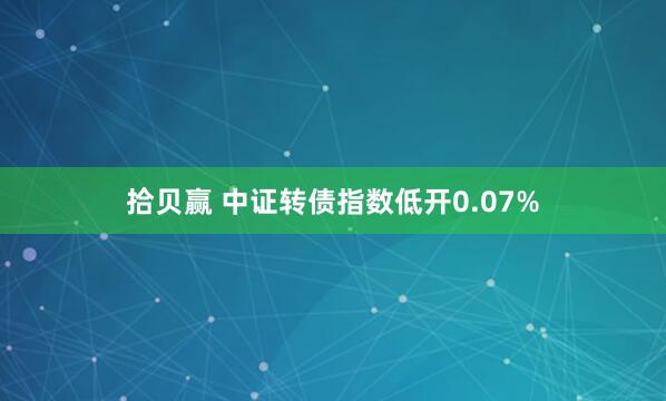 拾贝赢 中证转债指数低开0.07%