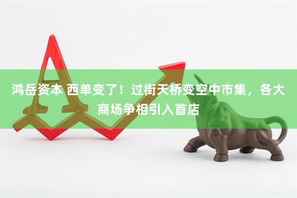鸿岳资本 西单变了！过街天桥变空中市集，各大商场争相引入首店