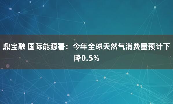 鼎宝融 国际能源署：今年全球天然气消费量预计下降0.5%